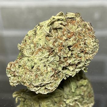 Critical Cheese - clavabar