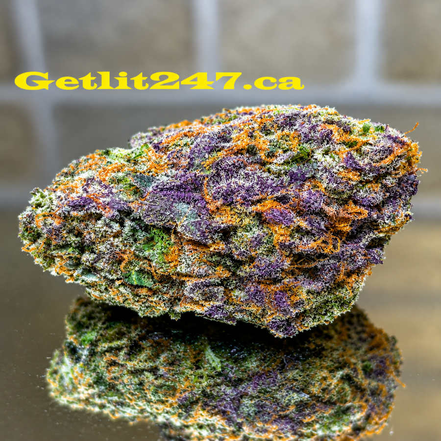"Premium" Blue Mimosa - Hybrid 30% Indica / 70% Sativa - THC 31%