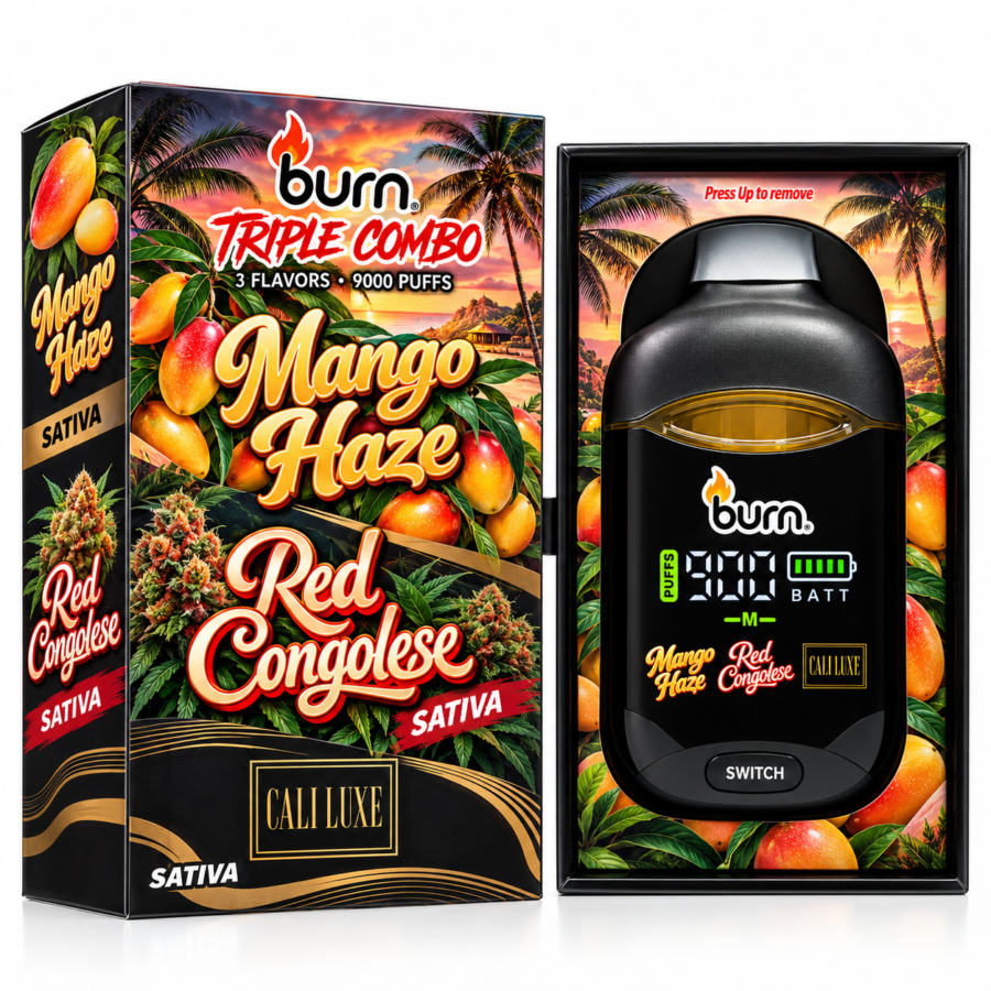 **BURN DISPOSABLE VAPE** — 3 GRAMS • 3 FLAVORS — BOX D
