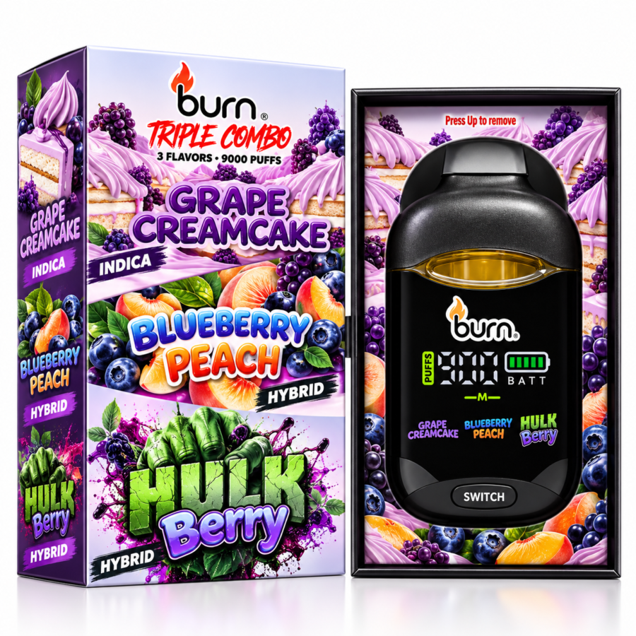 **BURN DISPOSABLE VAPE** — 3 GRAMS • 3 FLAVORS — BOX E